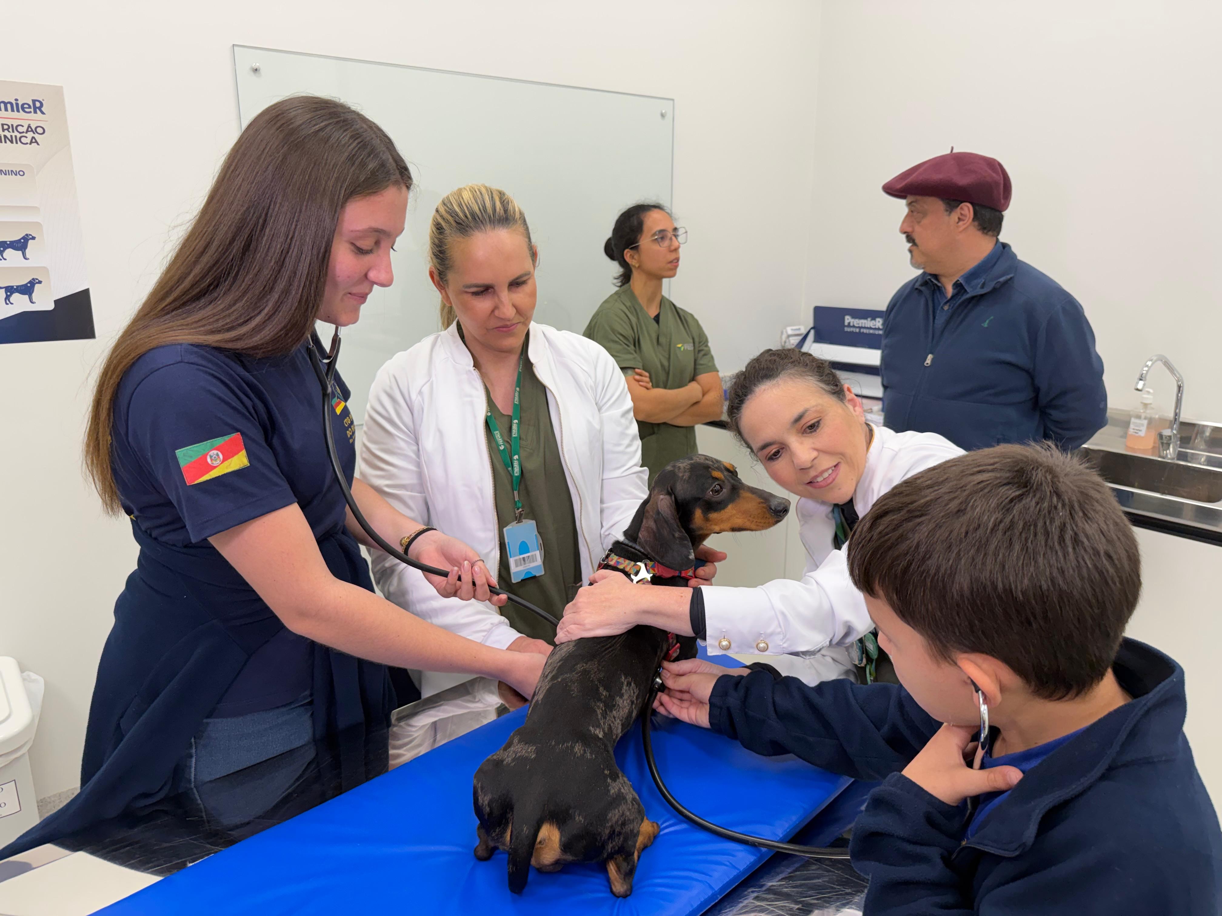 Desafio Farroupilha: veja como foi a 1ª semana de crianças de CTG sem celular