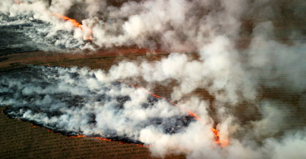 VÍDEO: imagens de drone mostram dimensão de incêndios em canavial entre Ibaté e São Carlos