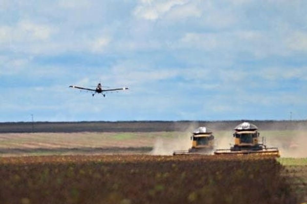 De pista de avião a 50 mil cabeças de gado: MS tem duas das 10 fazendas mais caras do país