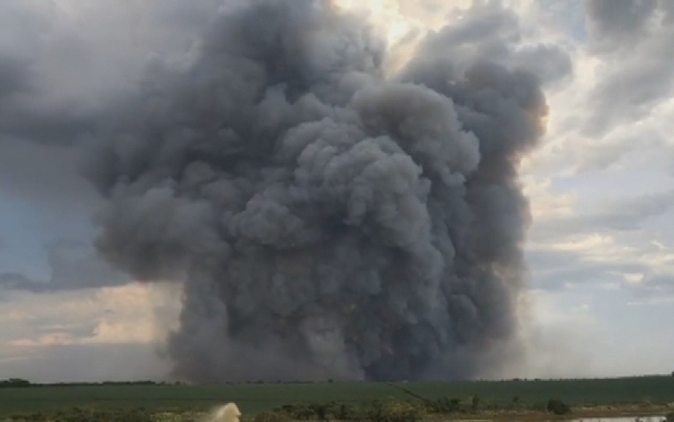 Incêndio deixa mortos e feridos em canavial de usina em São Simão, Goiás — Foto: Reprodução/TV Anhanguera