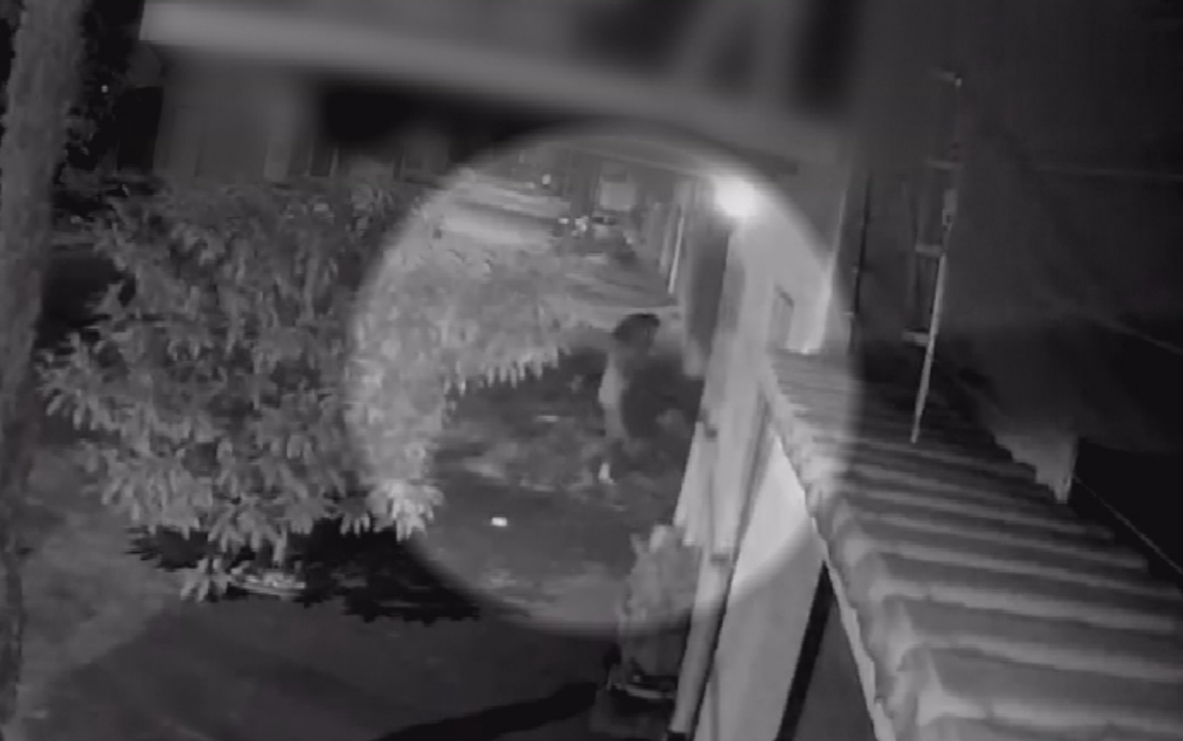 Mulher é estuprada e morta após homem a puxar para terreno baldio; vídeo