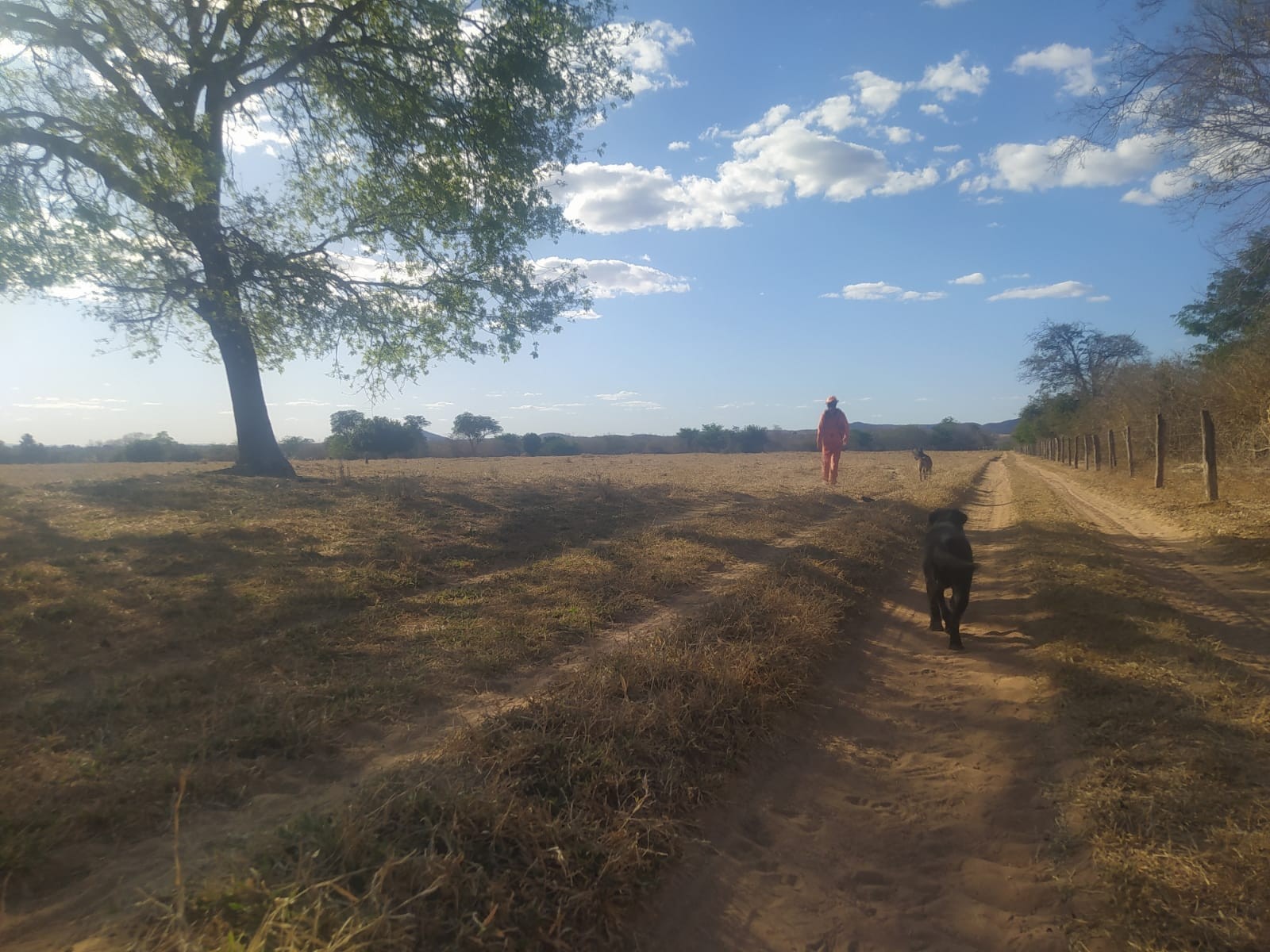 Idoso desaparecido há quatro dias é encontrado com ajuda do cão Zeus na zona rural de Santa Cruz de Salinas