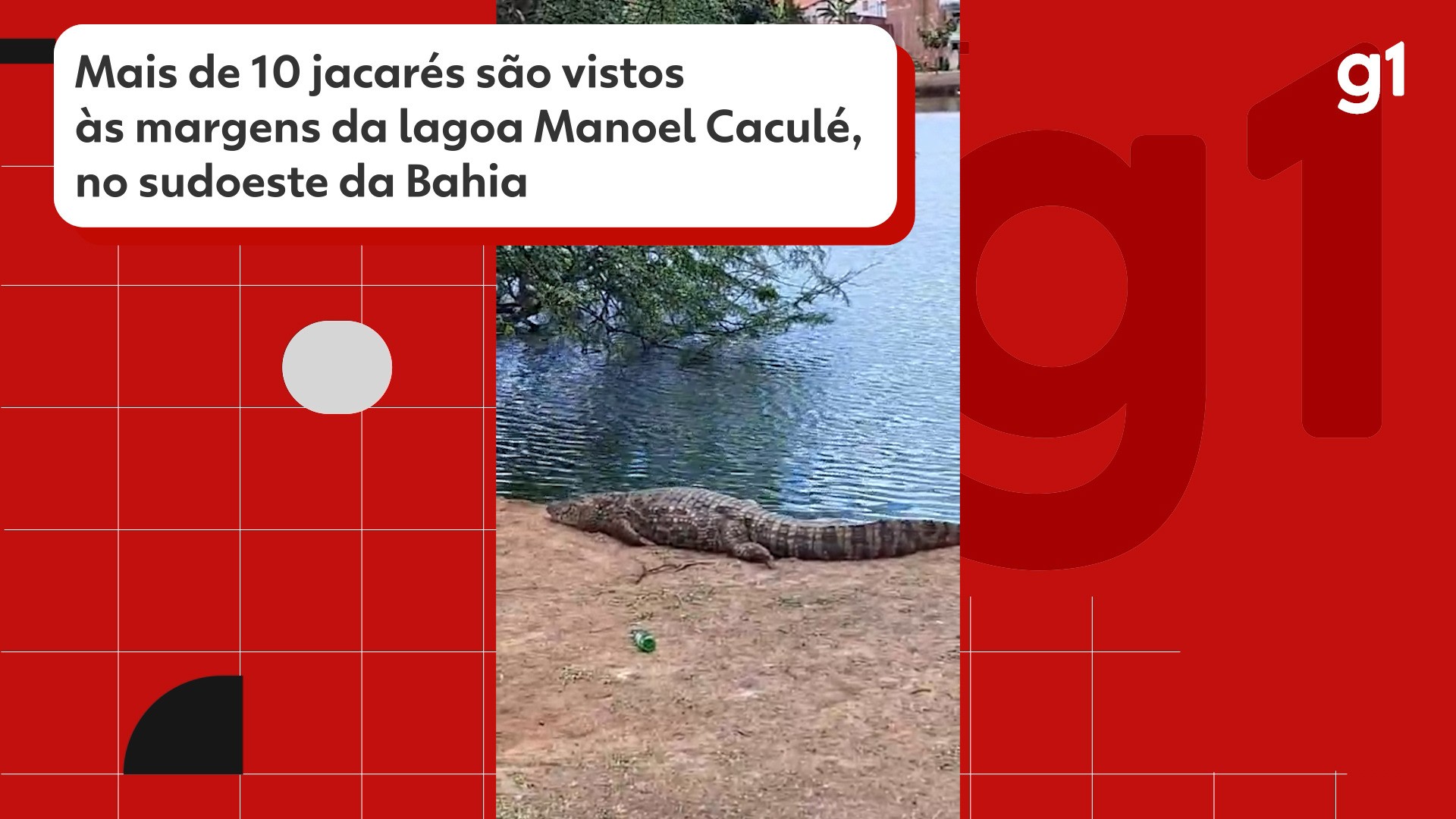 Vídeos do g1 e TV Bahia - terça-feira, 14 de outubro de 2025