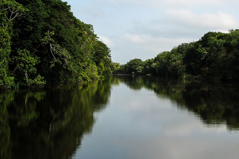 Quatro extrativistas estão desaparecidos em reserva no Sul do Amapá, diz Corpo de Bombeiros