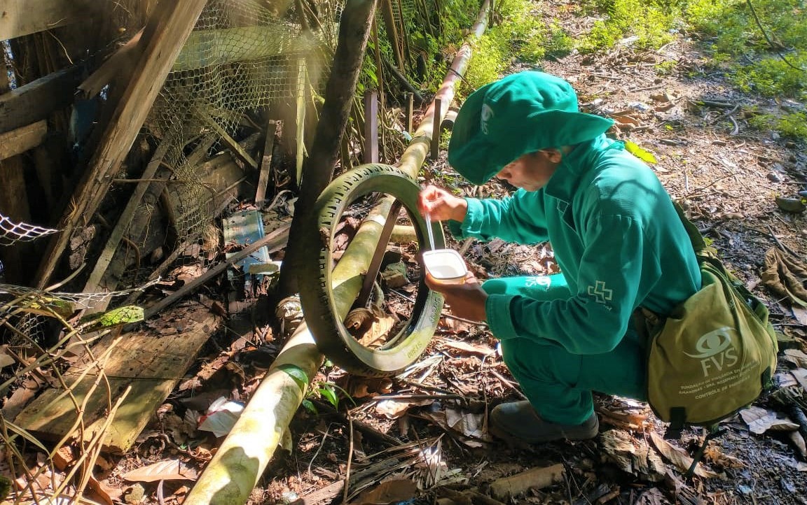 Casos de dengue no Amazonas tendem a aumentar nas próximas semanas, alerta FVS-RCP