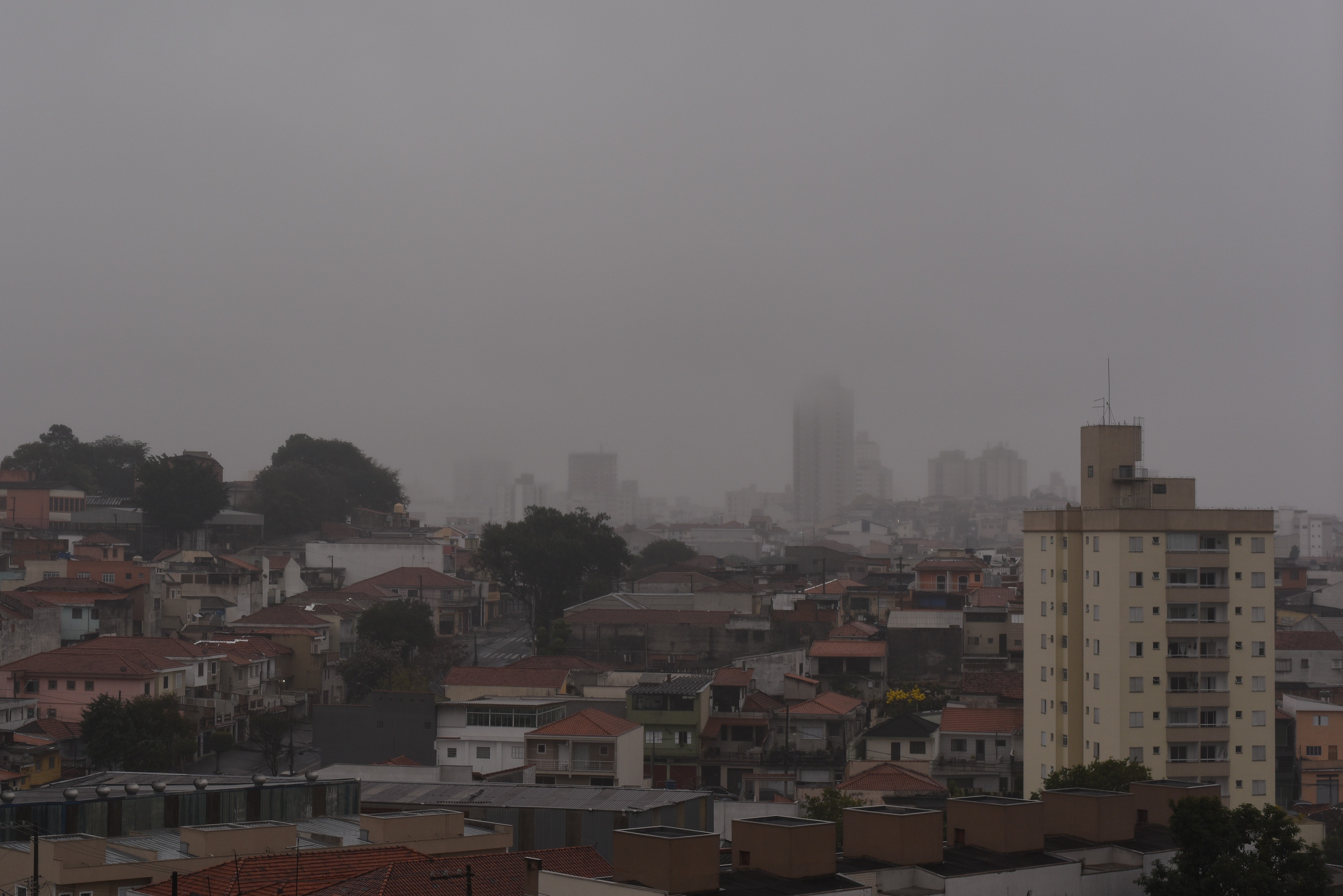 Frio avança pelo Centro-Sul, leva geada ao Sul e derruba temperaturas a partir desta terça; veja previsão