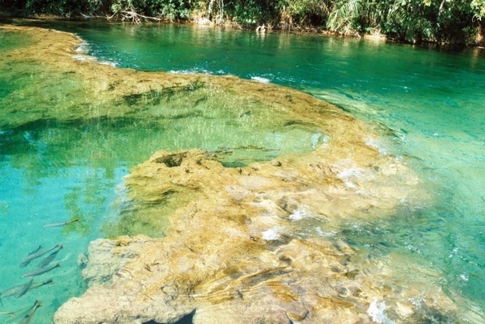 Concentração de calcário faz as águas dos rios ficarem translúcidas.  — Foto: Reprodução