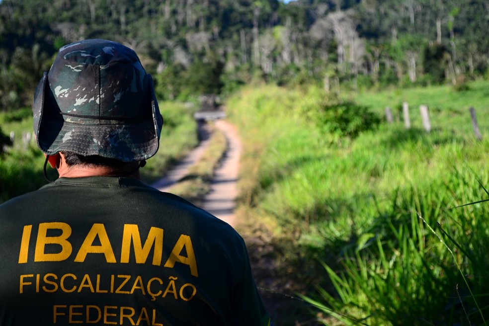 Seleo para o Ibama vai preencher oportunidades para Analista Administrativo e Analista Ambiental.  Foto: Divulgao/Ibama