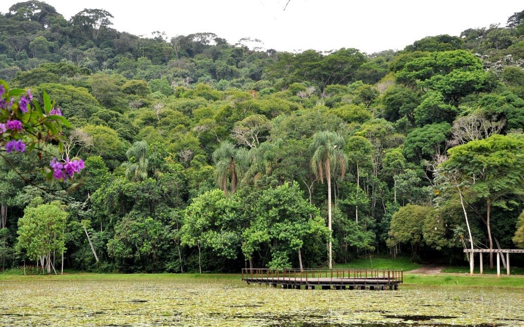 Jardim Botânico em Juiz de Fora: veja atrativos e saiba como visitar