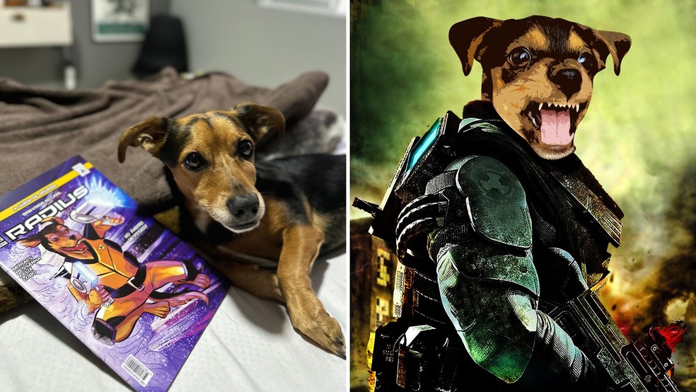 Tutor transforma pet em personagem de história em quadrinhos e protagonista de livro em Marília (SP) — Foto: Arquivo pessoal