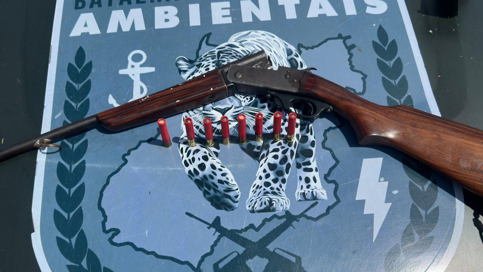 Dois dos maiores caçadores de onça do Brasil são presos em Goiás, diz polícia