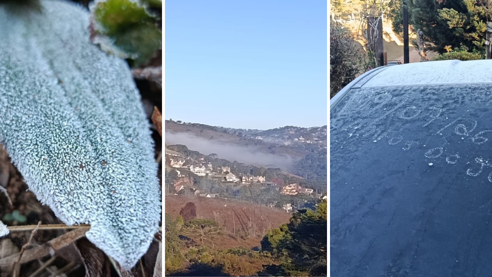 Com mínima de 3,9°C, Campos do Jordão amanhece coberta por geada no feriado de 9 de Julho; veja vídeo