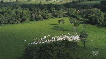 Confira o giro de notícias do Jornal do Campo para todo estado