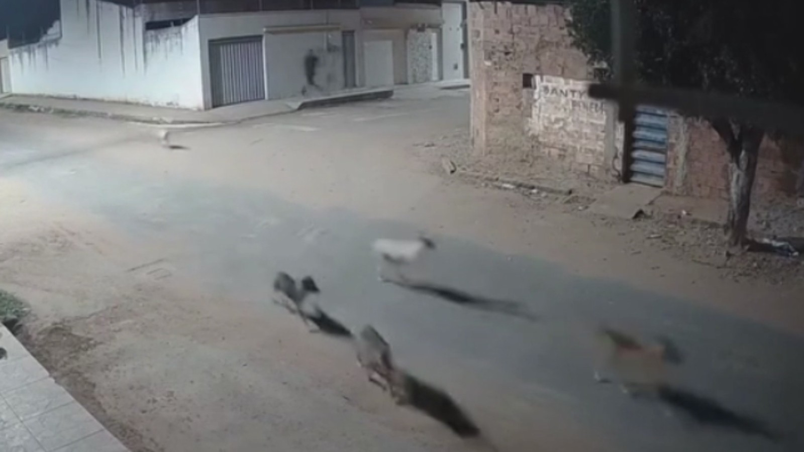 Vídeo mostra estrondo em fábrica clandestina de fogos no Ceará; vizinho morreu após explosão