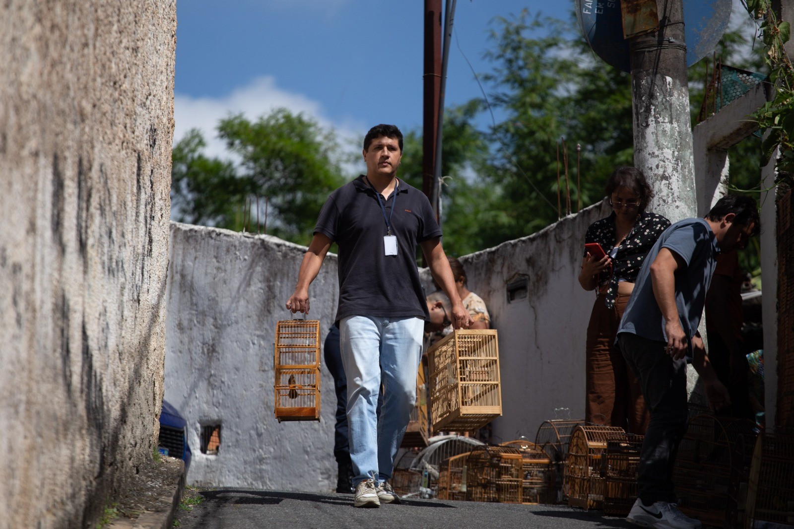 17 pássaros são apreendidos em Volta Redonda  