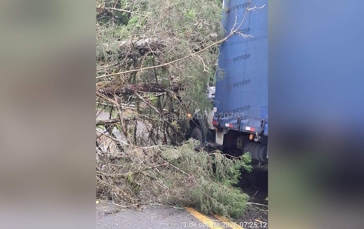 Árvore cai sobre caminhão durante chuva e causa congestionamento em rodovia de Tapiraí