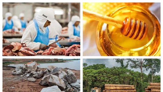 Carne, mel, madeira, peixe e mais: as vendas brasileiras já prejudicadas por anúncio de tarifa de Trump - Mesmo antes de começar a valer, a tarifa de até 50% anunciada por Donald Trump já provoca efeitos imediatos em estados brasileiros líderes em exportação de produtos.