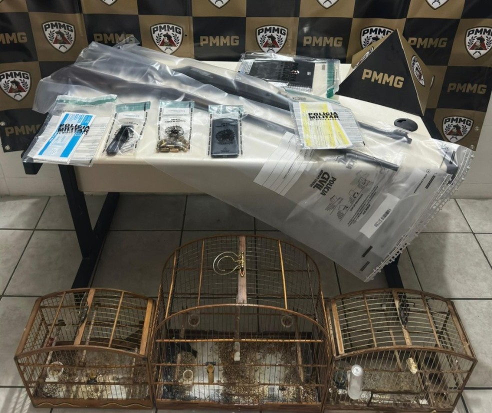 Suspeito de agiotagem e de cobrar dívidas com armas é preso em MG | G1