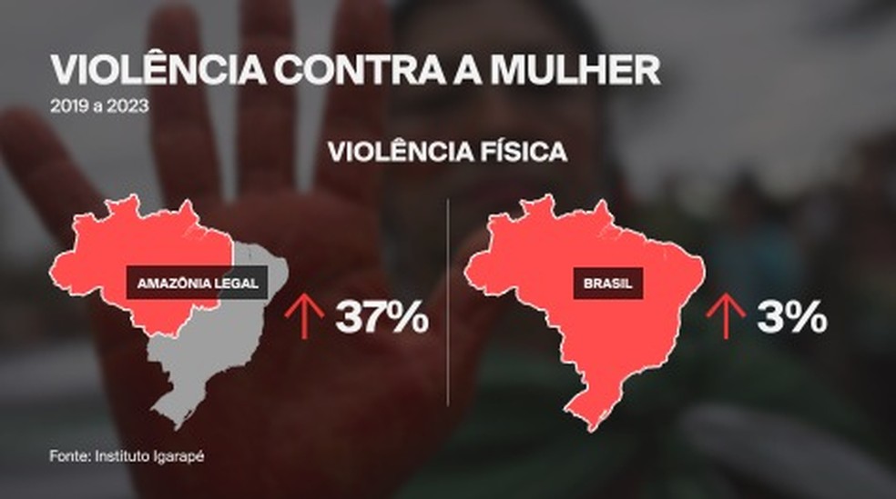 Violência física contra mulheres na Amazônia Legal — Foto: Reprodução/GloboNews