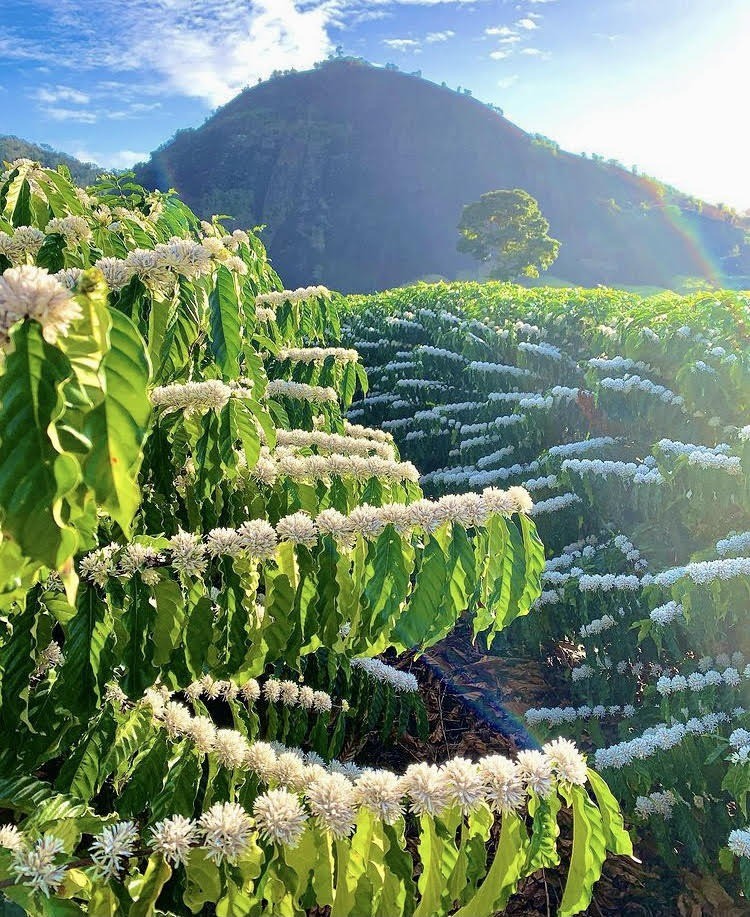 Laudo aponta que poste junto a grade que corredora encostou e sofreu  descarga elétrica estava energizado, Bauru e Marília