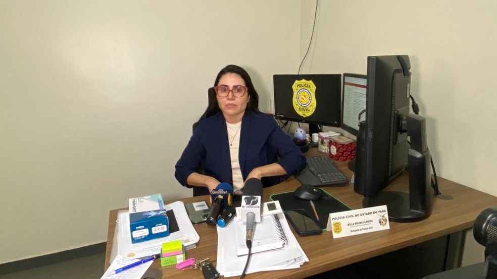 Delegada do NAI, Milla Moura, fala sobre o caso — Foto: Kamila Andrade/g1