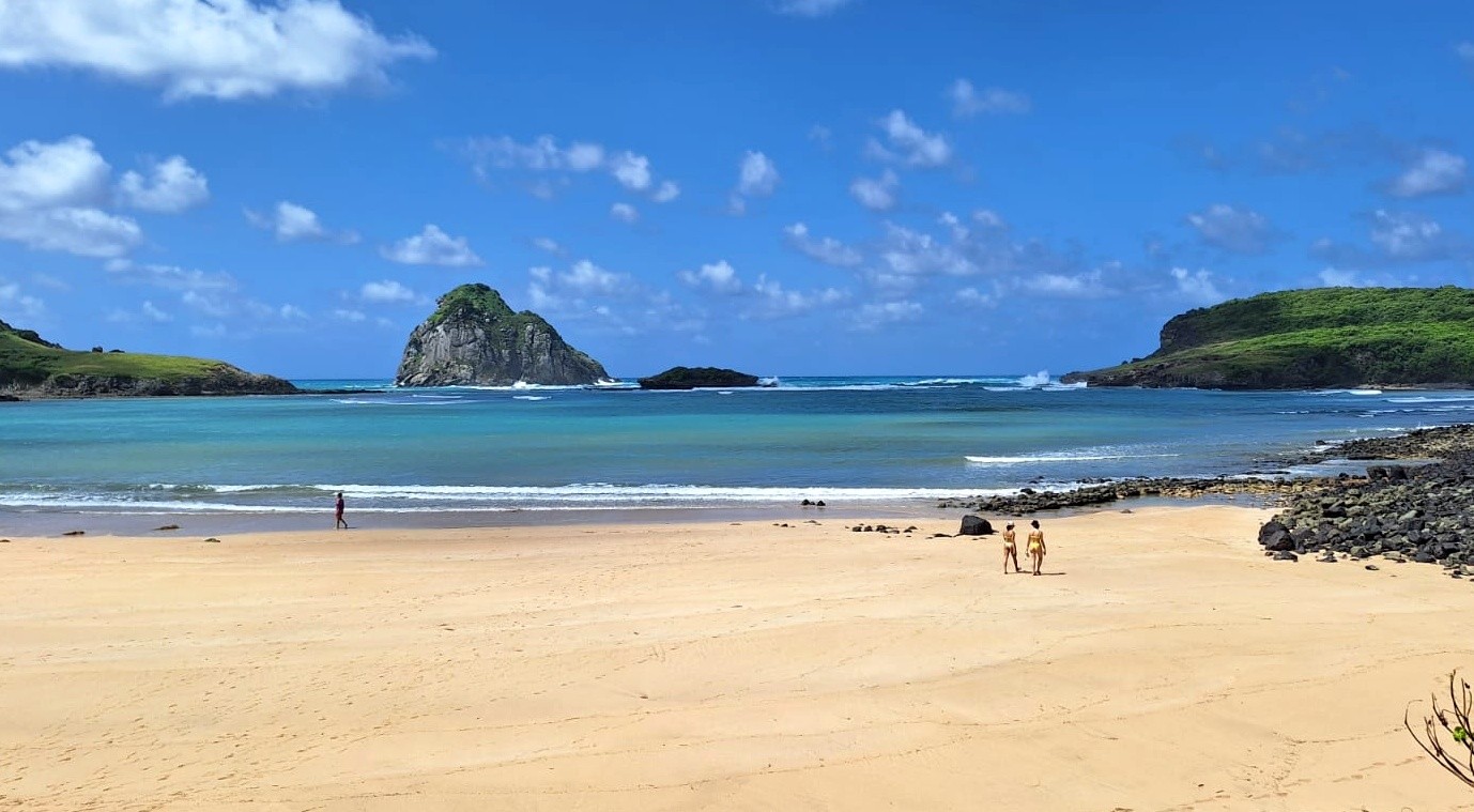 Estudo avalia reabertura da Baía do Sueste após incidentes com tubarões em Fernando de Noronha