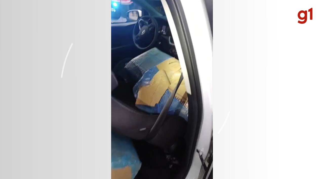Motorista sem habilitação é preso após fugir com 319 kg de maconha, transitar na calçada e colidir em viatura da PRF em SC