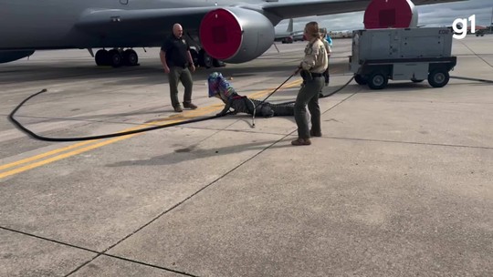 É #FATO: jacaré de três metros é achado entre pneus de avião militar e capturado nos EUA; VÍDEO - Programa: G1 Mundo 