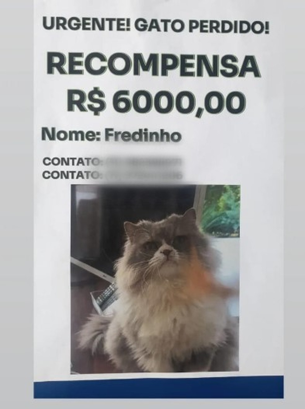 Cartaz sobre sumiço de Fredinho foi colocado no bairro — Foto: Arquivo Pessoal