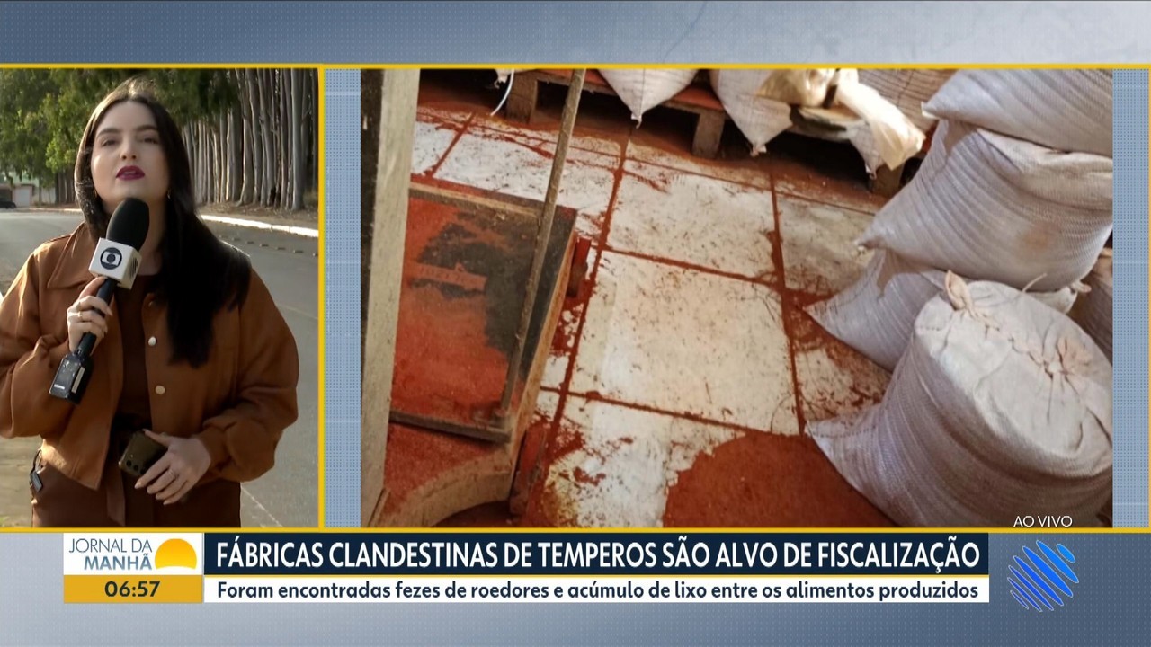Fábricas de temperos são interditadas na Bahia após fiscais encontrarem fezes de ratos 
