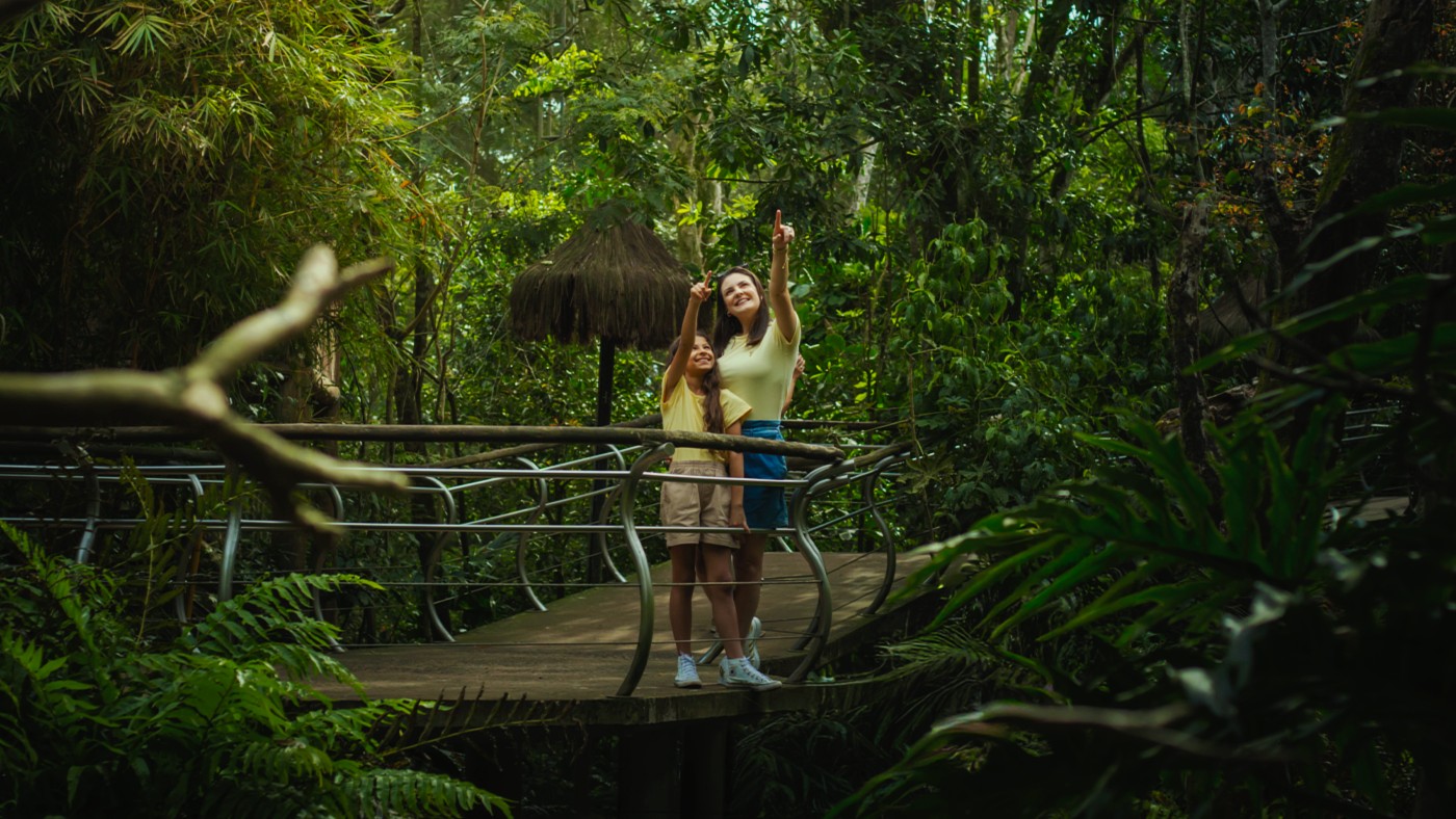 Troque sua rotina: como a natureza pode transformar sua saúde mental