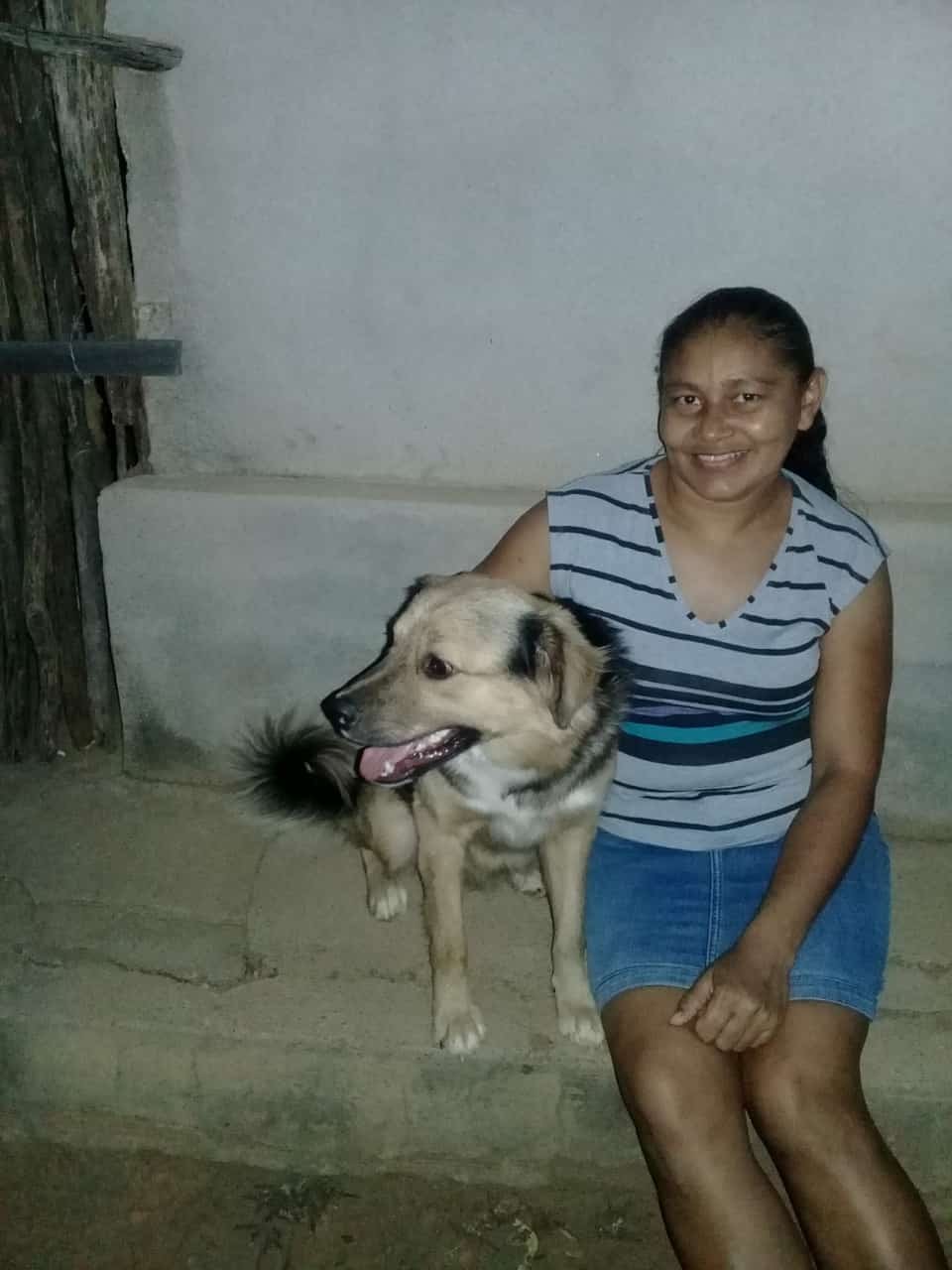 Mulher denuncia morte de cachorro após ataque com arma de chumbinho no Sul do PI; outro animal ficou ferido