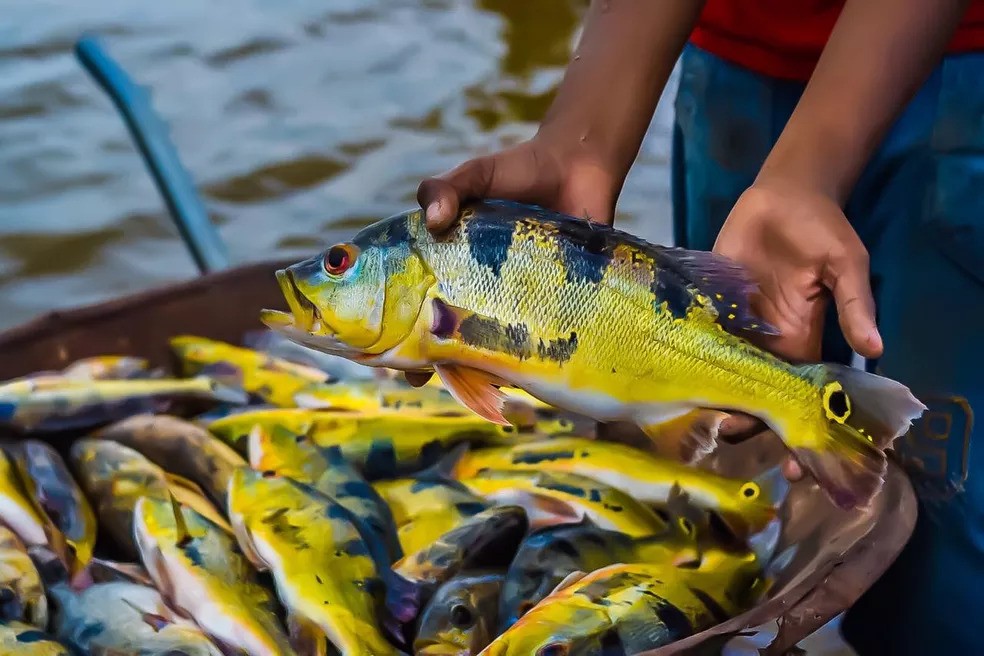 Uberlândia terá 1º Circuito de Pesca Esportiva com premiações; saiba como participar