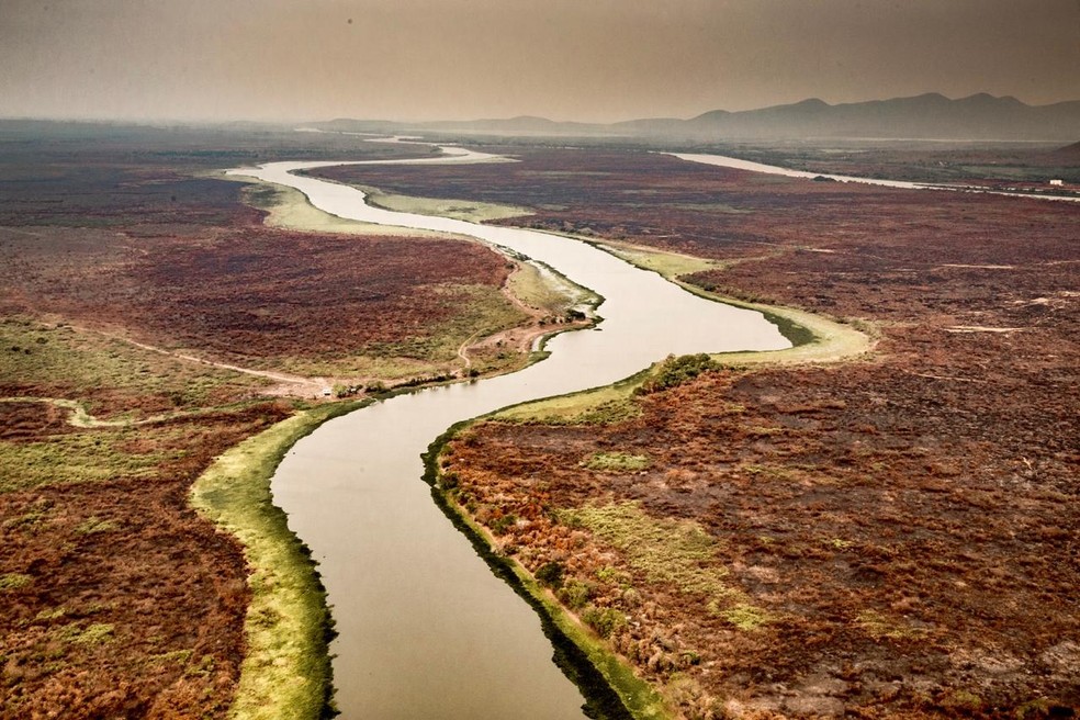 Fotgrafo Araqum Alcntara registrou destruio causada pelo fogo no Pantanal. — Foto: Araqum Alcntara