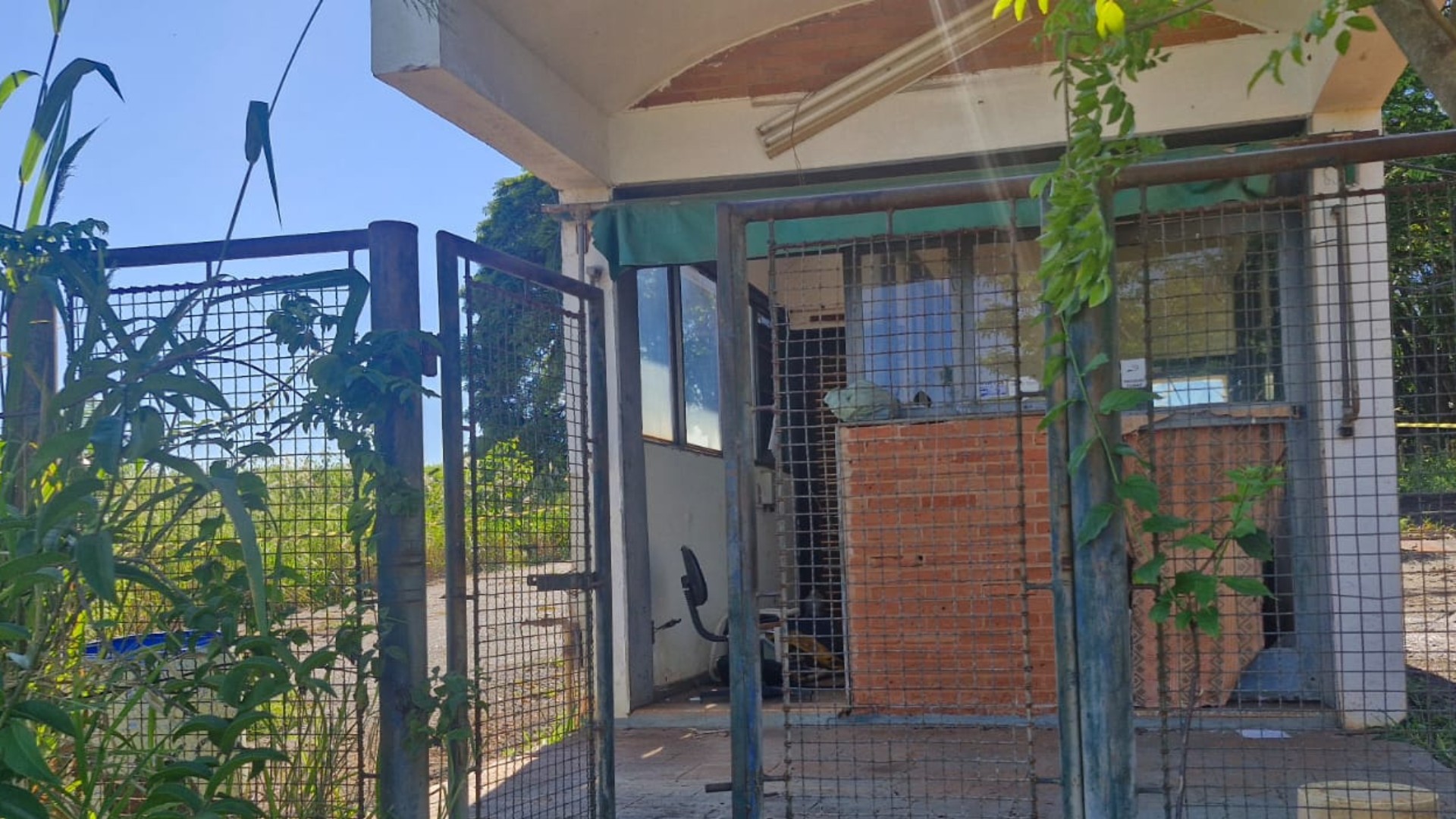 Dois vigilantes são encontrados mortos a tiros em usina desativada no interior de SP