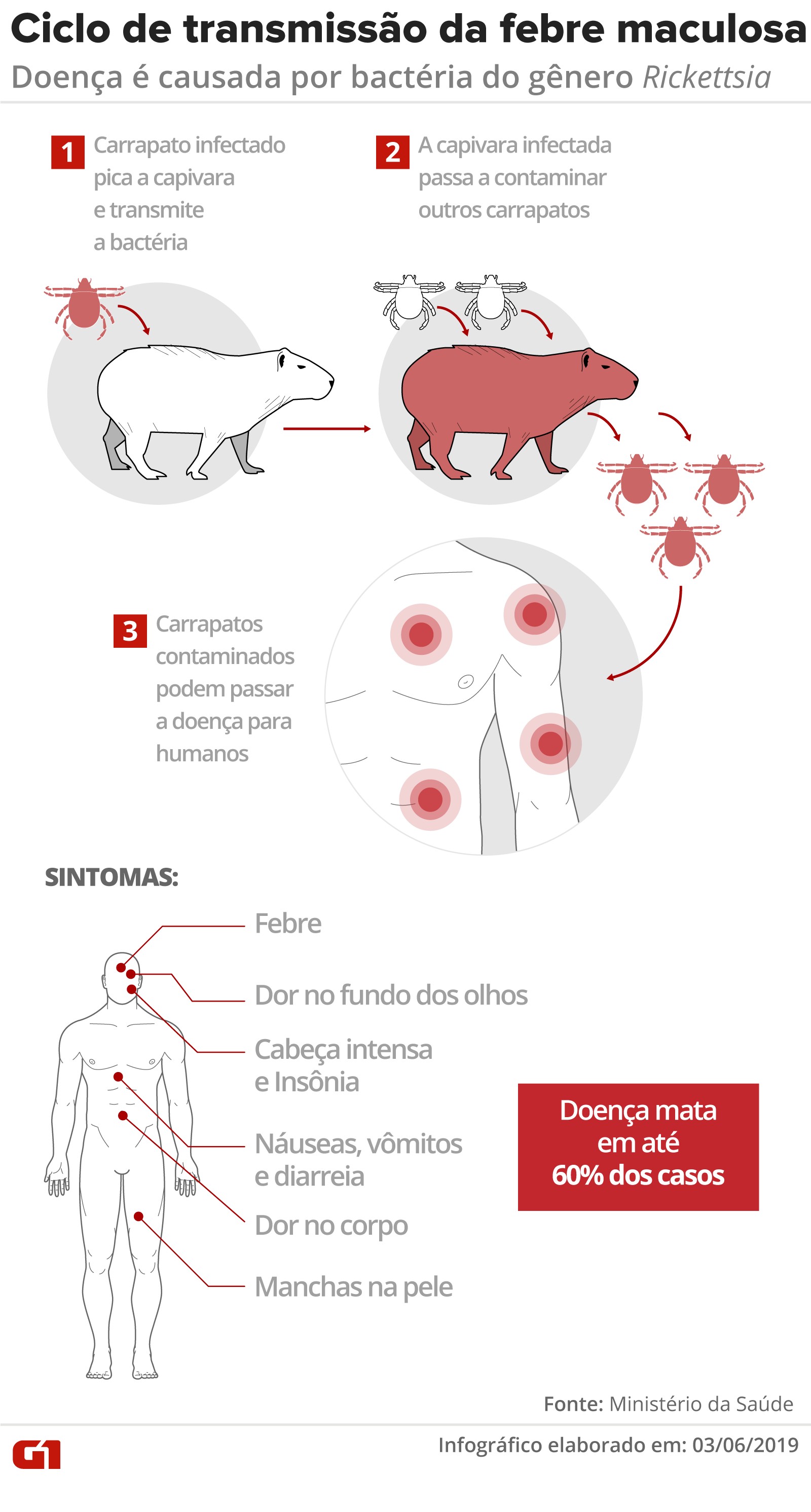 Piracicaba confirma morte de homem por febre maculosa e CCZ investiga local de infecção