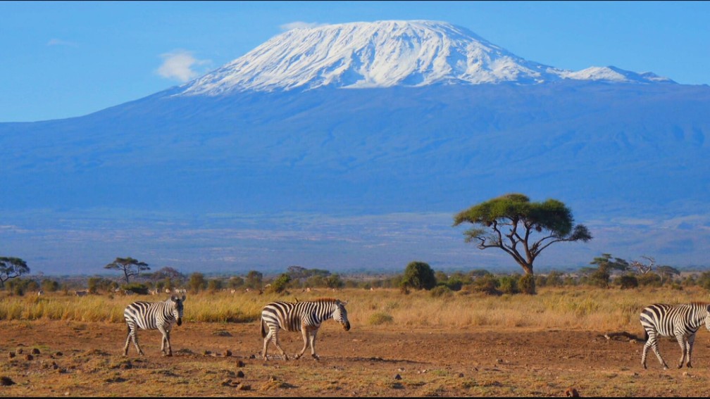 Equipe do Globo Repórter sobe até o monte Kilimanjaro, no topo da África | Globo Repórter | G1