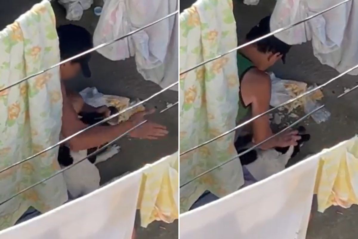 Homem filmado agredindo cachorro é absolvido e consegue animal de volta em SP; VÍDEO