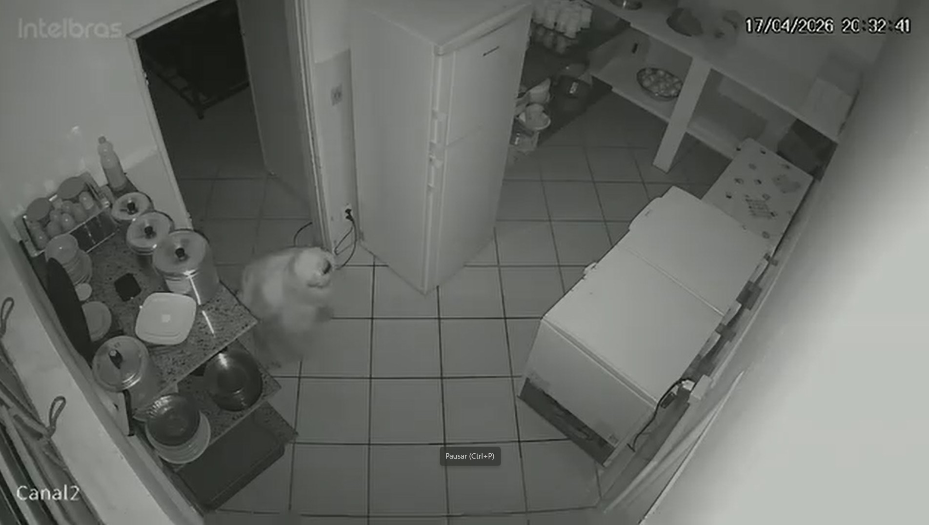 VÍDEO: homem mascarado engatinha, invade creche e furta panela | G1