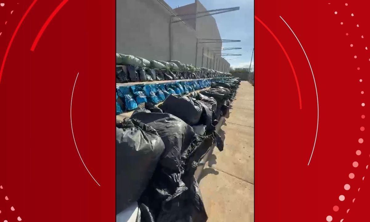 Mais de 4 toneladas de maconha do tipo 'skunk' são apreendidas em cidade da Bahia