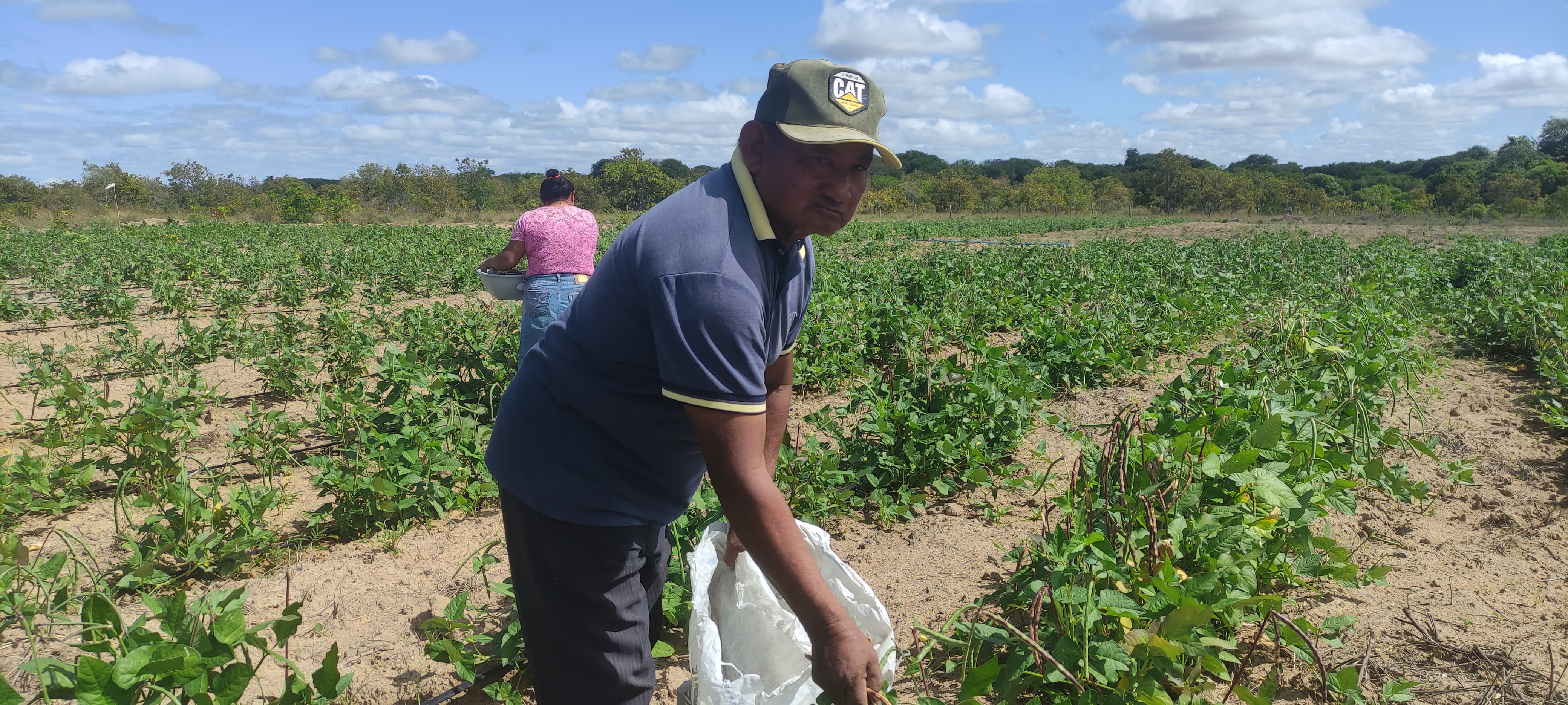 Do campo ao mercado: produção sustentável movimenta comunidade indígena em Boa Vista