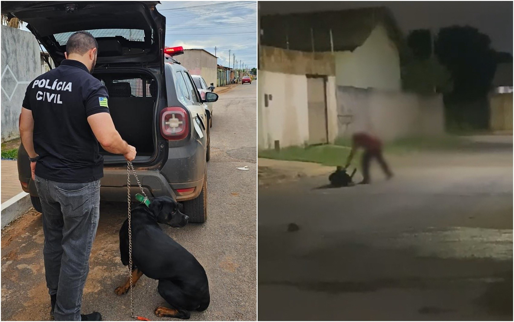 Cachorro é resgatado após ser chicoteado com corrente no meio da rua; vídeo 