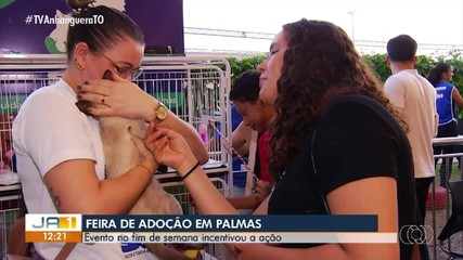 Feira de adoção ajuda cães e gatos a conseguirem novos lares
