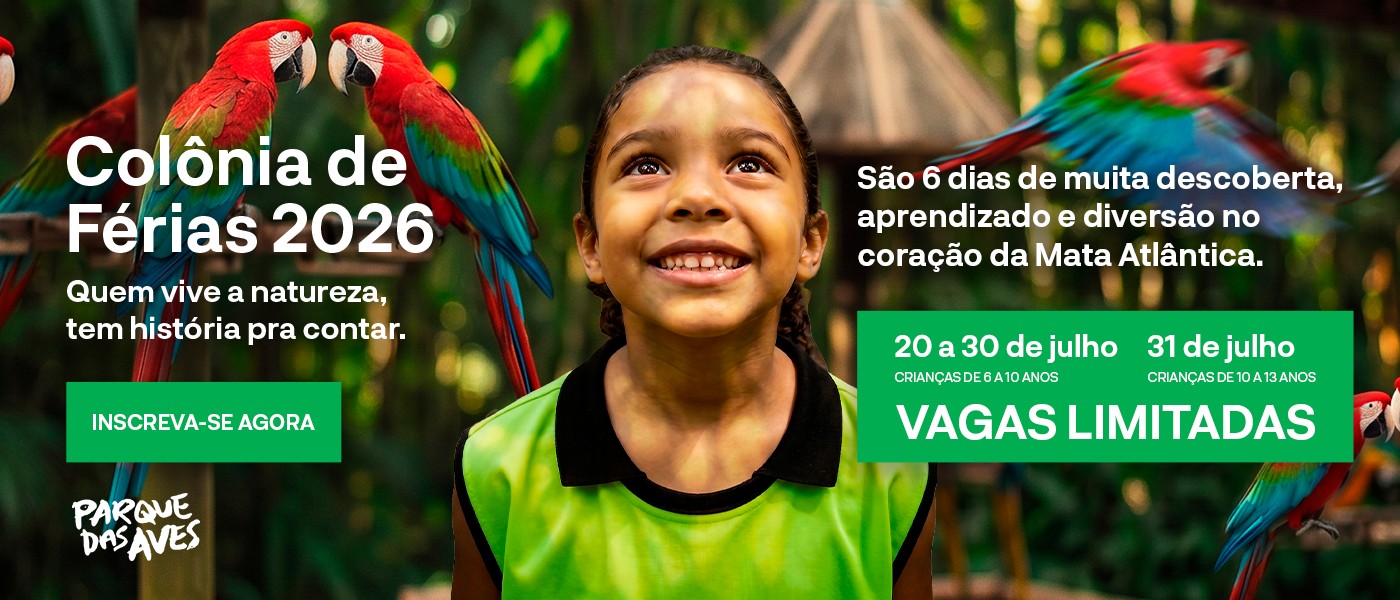 Programação de férias aproxima crianças da natureza em Foz do Iguaçu