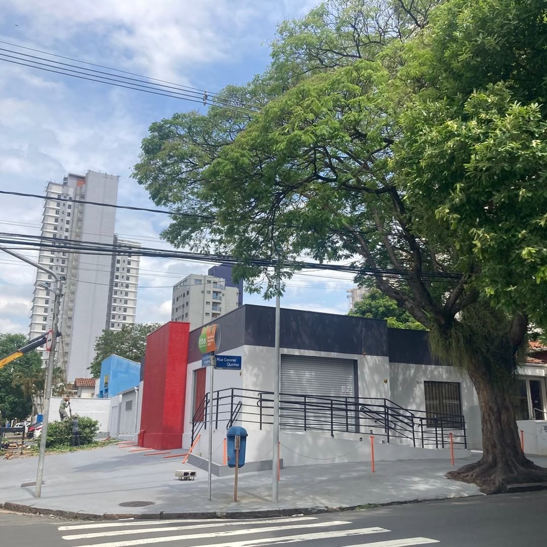 Conselho de Meio Ambiente suspende corte e cobra apuração sobre remoção de árvores no Cambuí, em Campinas