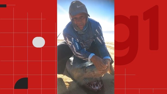 VÍDEO: tubarão com bico de marlin cravado na cabeça aparece morto em praia do ES - "Provavelmente, o tubarão estava no meio do caminho ou tentou atacar o marlin e tomou uma bicada violenta que foi fatal", explica biólogo. Pescador deitou ao lado do animal para comparar tamanho, em Marataízes.