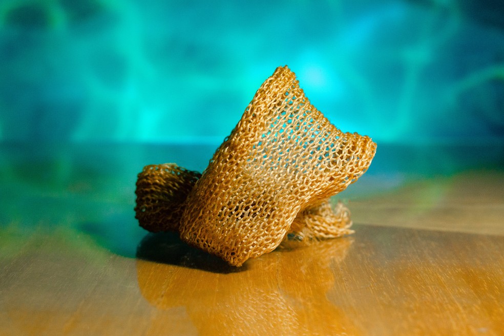 Fibra têxtil de alga marinha criada por startup de pesquisadora paraibana — Foto: Divulgação/Phycolabs