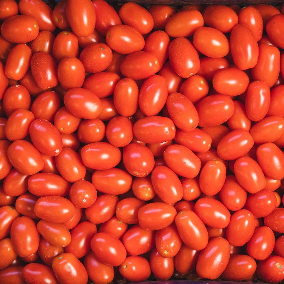 Tomates — Foto: Celso Tavares/g1