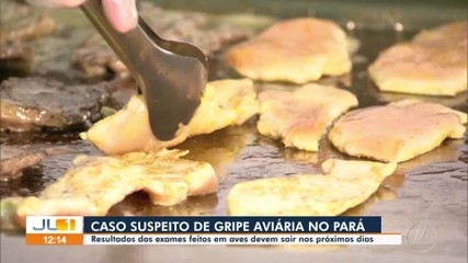 Técnicos da Adepará investigam caso suspeito de gripe aviária em Canaã dos Carajás