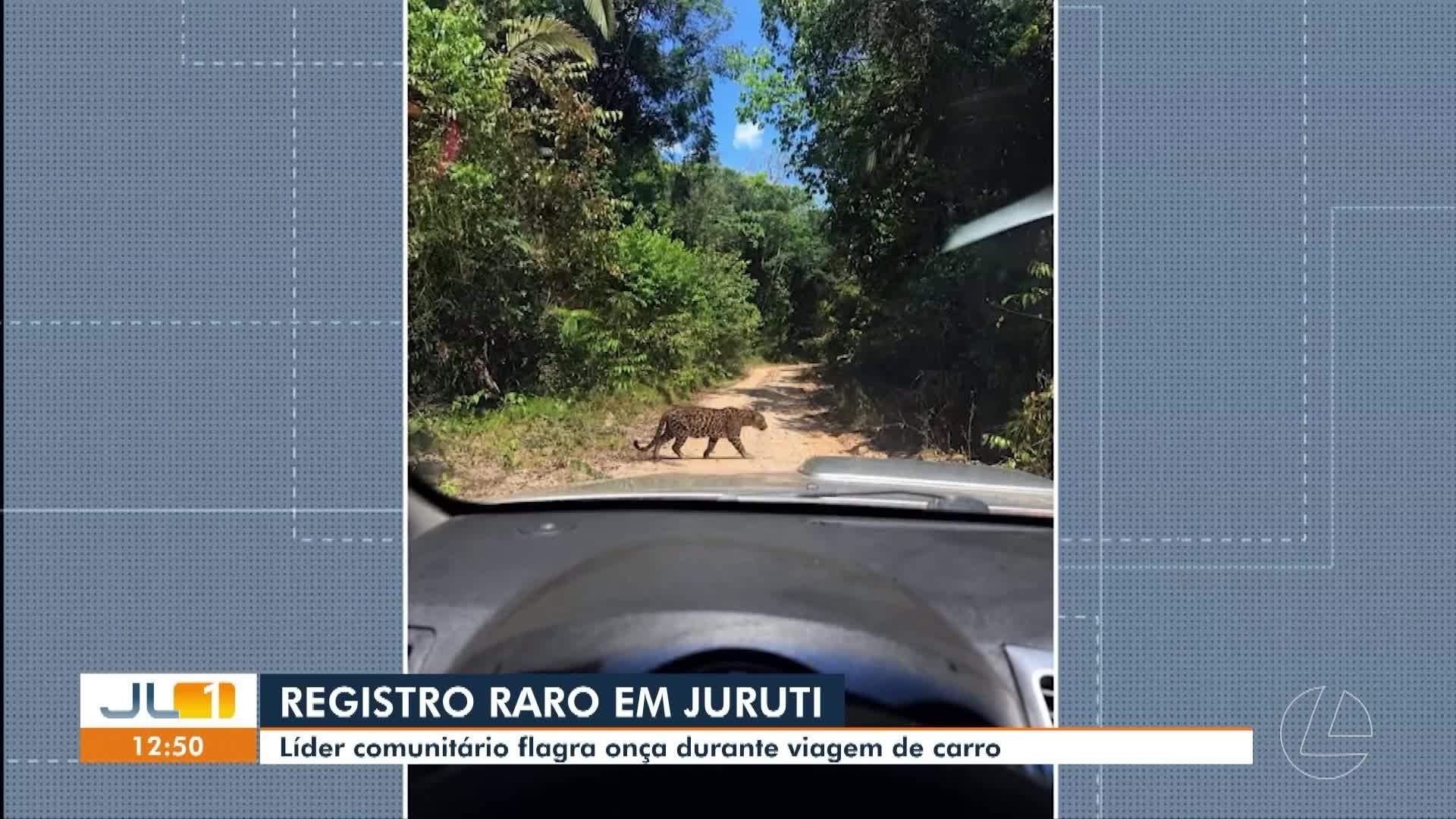 VÍDEOS: JL1 de quinta-feira, 20 de agosto de 2026